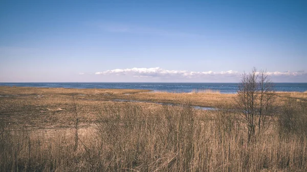 草とフィンランドの乾燥木と岩の多い海岸線の表示 — ストック写真