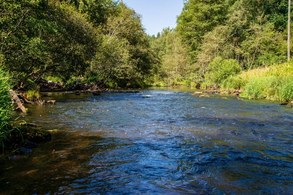 Sommertag Auf Dem Wasser Ruhigem Fluss Umgeben Von Wäldern Mit — Stockfoto