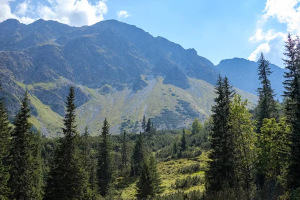 Distant mountain cores in mist in slovakia Tatra mountain trails in clear autumn day with blue sky and green vegetation