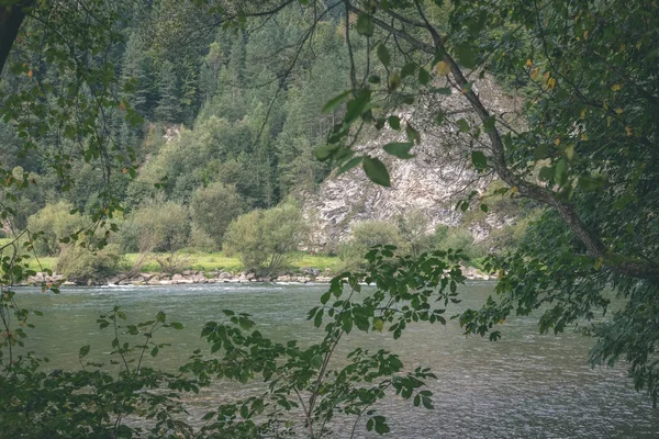 Rzeka Woda Zielony Drzewami Lecie Dunajec Słowacja Stylu Retro Vintage — Zdjęcie stockowe