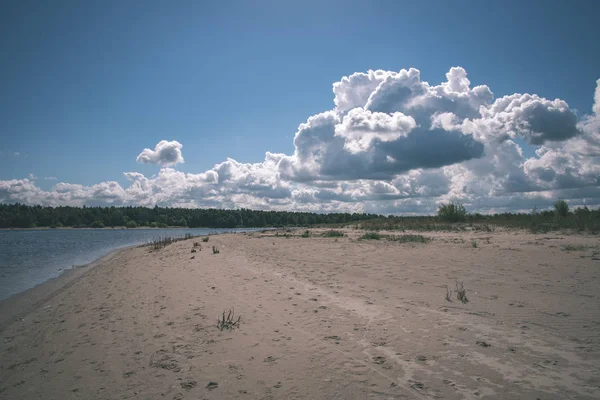 Prázdné Pláže Jaře Některými Ptáků Nákladní Lodě Obzoru Modrá Obloha — Stock fotografie