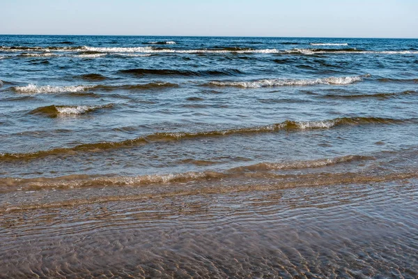 Панорамний Вид Морський Пляж Влітку Камінням Рослинами Чистою Водою Сонячний — стокове фото