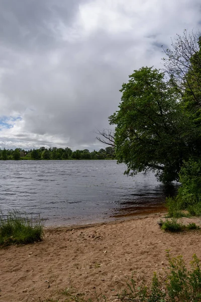 Спокійний Літній День Вид Озеро Чистою Водою Водяною Травою Бухтами — стокове фото