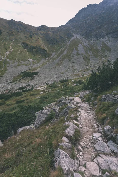 Trilhas Para Caminhadas Eslováquia Montanhas Tatra Perto Lago Montanha Rohache — Fotografia de Stock