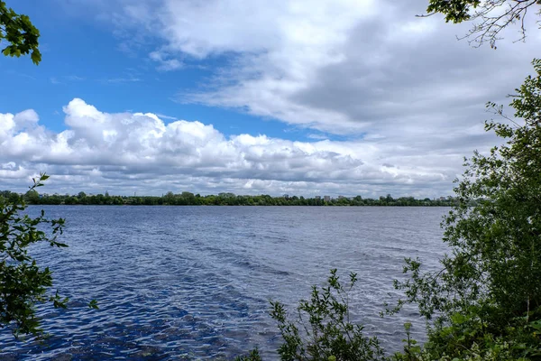 Tranquillo Giorno Estivo Vista Sul Lago Con Acqua Pulita Erba — Foto Stock