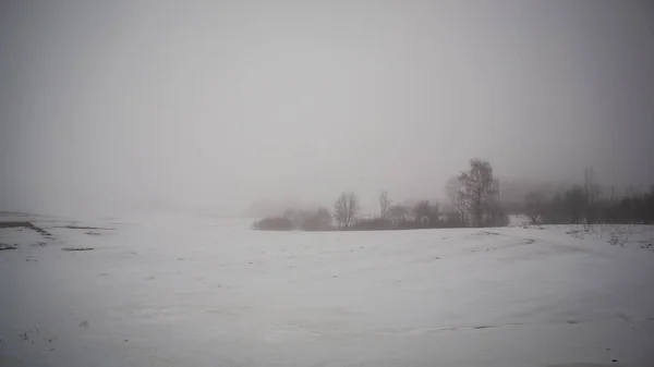 Einfache Landschaft Lettland Mit Feldern Und Bäumen Unter Schnee Altes — Stockfoto