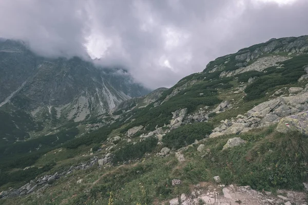 Montañas Los Cárpatos Occidentales Día Nublado Senderos Senderismo Tatra — Foto de Stock