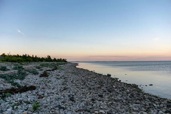 Panoramic Sea Beach View Summer Rocks Plants Clean Water Sunny — Stock Photo, Image