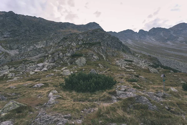 Sentieri Escursionistici Slovacchia Montagne Tatra Vicino Lago Montagna Rohache — Foto Stock