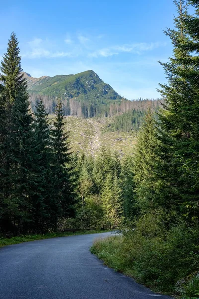 Distant mountain cores in mist in slovakia Tatra mountain trails in clear autumn day with blue sky and green vegetation