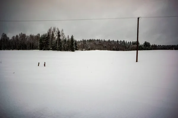 Enkla Gröna Landskapet Lettland Med Fält Och Träd Snön Gamla — Stockfoto