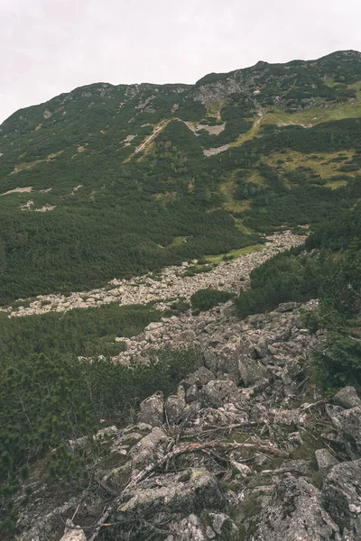 Turstier Slovakia Tatra Fjellene Nær Fjellsjøen Rohache – stockfoto