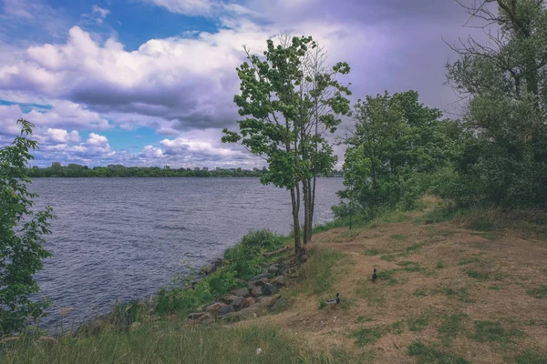 Спокойный Летний День Вид Озеро Чистой Водой Травой Изгибы Зеленая — стоковое фото