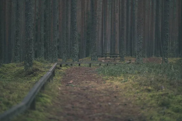 Staré Dřevěné Trenshes Lotyšsku Ostnatým Drátem Stráž Příspěvky Rekonstrukce První — Stock fotografie