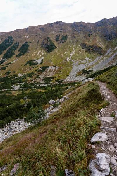 Sentiers Randonnée Slovaquie Montagnes Tatra Près Lac Montagne Rohache — Photo