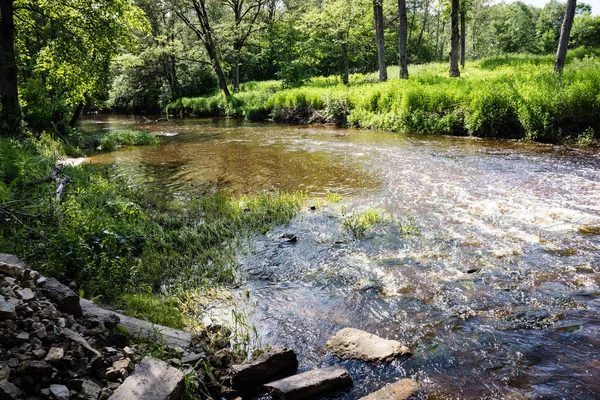 Cuerpo Natural Agua Estanque Con Reflejos Árboles Nubes Superficie Aguas — Foto de Stock