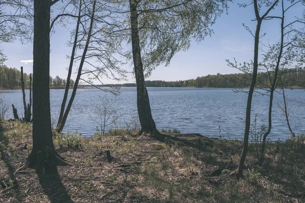 Malebný Pohled Jezero Lesa Břehu — Stock fotografie