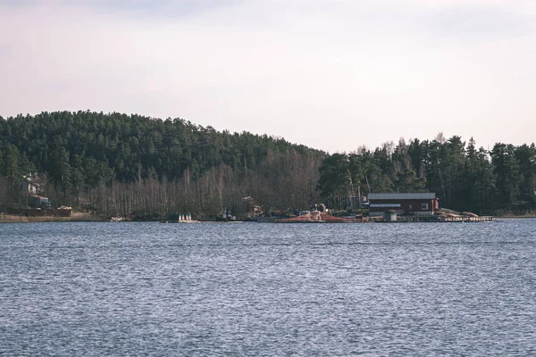 Rocky Coastline Finland Few Pine Trees Calm Water Summer — Stock Photo, Image