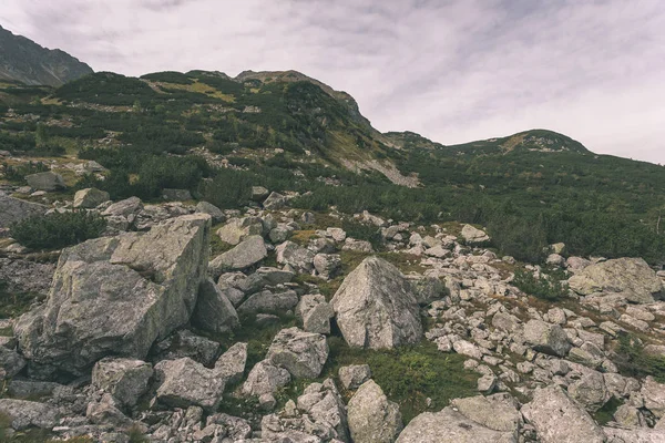 Rutas Senderismo Eslovaquia Montañas Tatra Cerca Del Lago Montaña Rohache — Foto de Stock