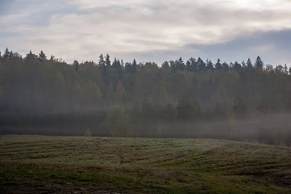 Route Campagne Brumeuse Automne Avec Brouillard Asphalte Couleurs Automne — Photo