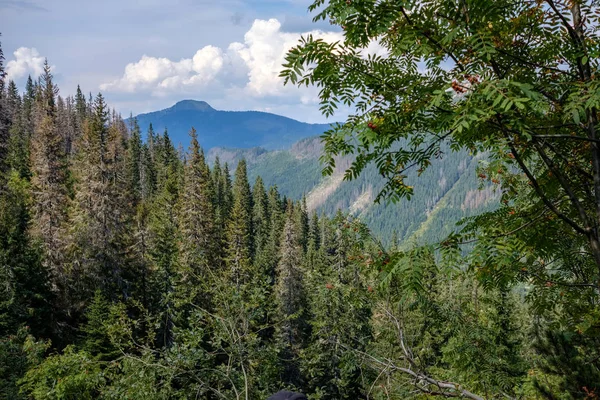 Núcleos Montanhosos Distantes Névoa Eslováquia Tatra Trilhas Montanhosas Dia Outono — Fotografia de Stock