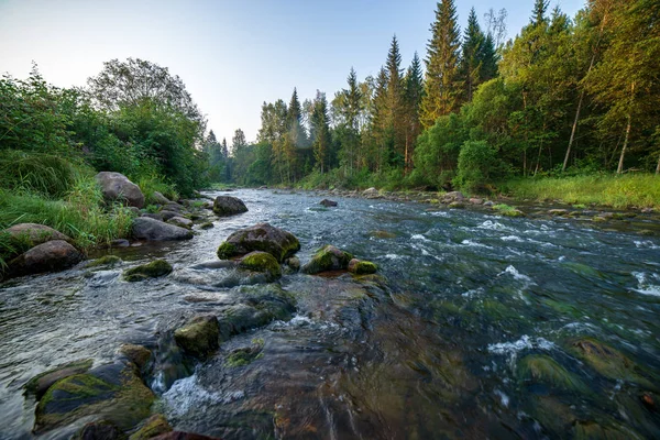 Córrego Água Rio Amata Letônia Com Penhascos Arenito Folhagem Verde — Fotografia de Stock