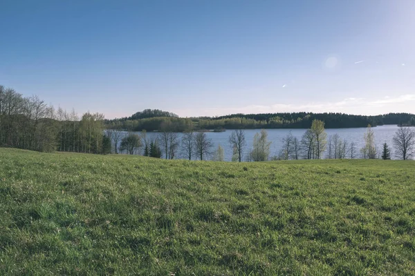 Margem Lago Com Árvores Distintas Verão Verde Terra Água Vista — Fotografia de Stock