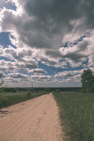 Egyszerű Vidéki Erdei Úton Lombozat Fák Körül Vintage Retro Kinézetét — Stock Fotó