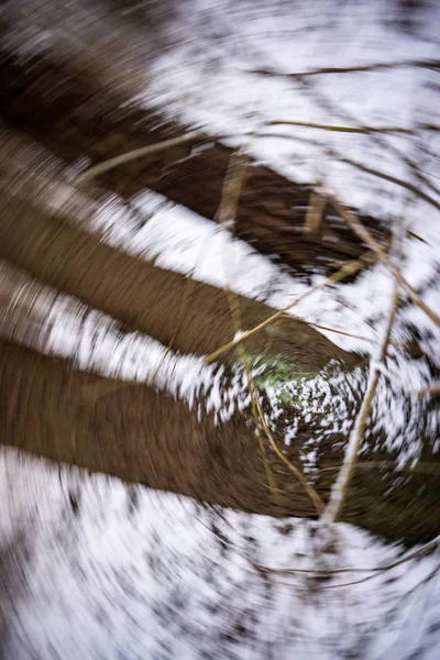 Movimiento Borrosa Ramas Árboles Desnudos Finales Otoño —  Fotos de Stock