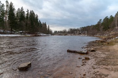 doğal vücut su. gölet yansımaları, ağaç ve bulutlarda sakin su yüzeyi ile