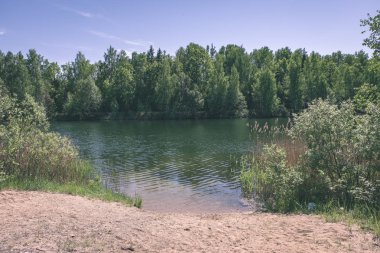 Sazlık nehir kıyısındaki büyüyen doğal görünümünü