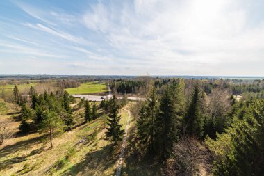 düz basit kırsal bahar, yatay, taze yeşil çayır ve orman. üzerinde mavi gökyüzü