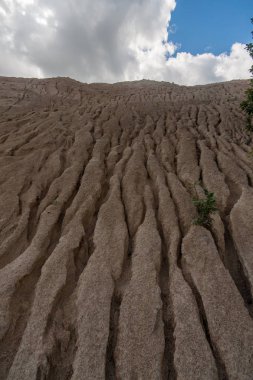 taze ekili tarım alanları için büyüyen gıda hazır