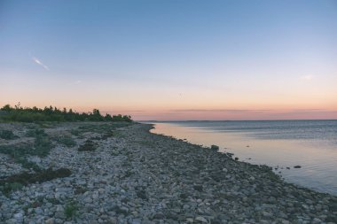 panoramik deniz plaj kayalar, bitkiler ve temiz su ile yaz aylarında güneşli gün - vintage bir retro görünüm görünümünde