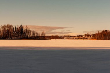 alanları ve ağaçların kar altında basit kırsal manzara Letonya. eski çim uzanarak