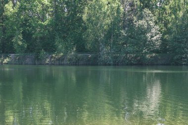 temiz su ve su çimen, bents ve yeşil yeşillik forest - vintage bir retro görünüm yakınındaki göl kenarında sakin yaz günü göster