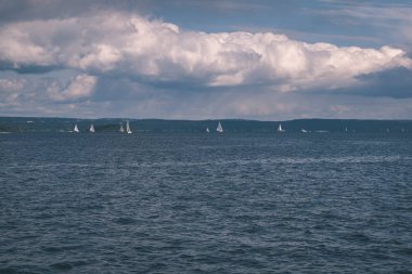 kayalık sahil şeridine Norveç'te kaç çam ağaçları ve mavi gökyüzü altında sakin su 
