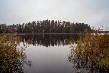 doğal vücut su. gölet yansımaları, ağaç ve bulutlarda sakin su yüzeyi ile