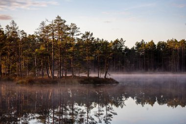 doğal vücut su. gölet yansımaları, ağaç ve bulutlarda sakin su yüzeyi ile