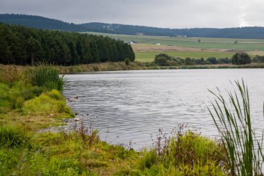 Dağ nehir bulutlu, Slovakya, doğal görünümünü