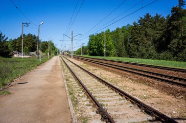 yapraklar ve ağaçlar etrafında ile perspektif içinde basit kırsal orman yolu