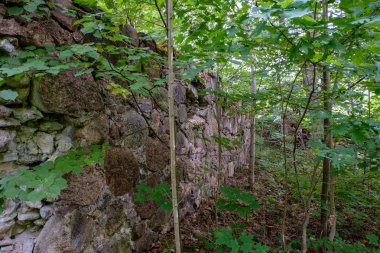 Büyük granit kaya diğerinden izole doğa ortamında tek