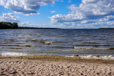 panoramik deniz plaj manzarası içinde kaya, bitkiler ve temiz su ile yaz aylarında güneşli bir gün