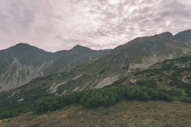 yürüyüş parkurları Slovakya Tatra Dağları yakınındaki dağ gölü Rohache
