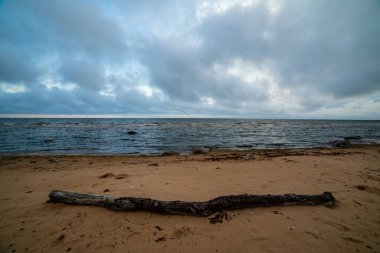 fırtına bulutları içinde şekillendirme deniz plaj kayalar ile temizleyin ve kum temizleyin. dramatik renkleri
