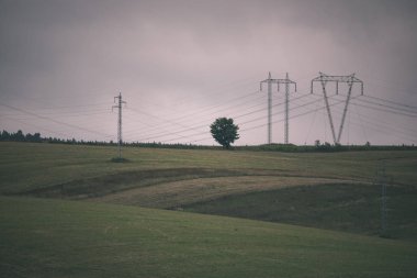 taze ekili tarım alanları için büyüyen gıda - vintage bir retro görünüm hazır