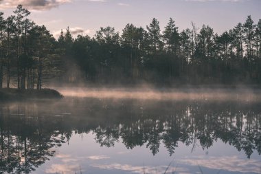 doğal vücut su. Gölet yansımaları, ağaç ve sakin su yüzeyi - vintage bir retro görünüm bulutlarda ile.