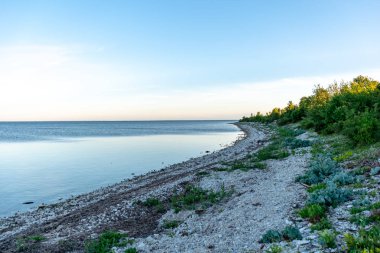 panoramik deniz plaj manzarası içinde kaya, bitkiler ve temiz su ile yaz aylarında güneşli bir gün