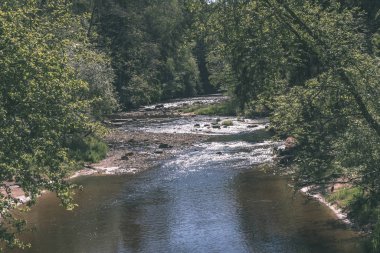 temiz su ve su çimen, bents ve yeşil yeşillik forest - vintage bir retro görünüm yakınındaki göl kenarında sakin yaz günü göster