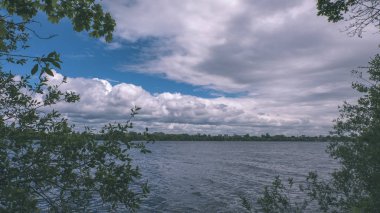 temiz su ve su çimen, bents ve yeşil yeşillik forest yakınındaki göl kenarında sakin yaz günü göster